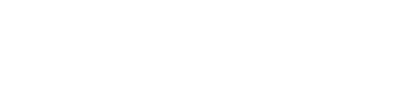 corviniti logo